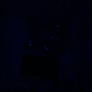 Meet your Posher, Hanna